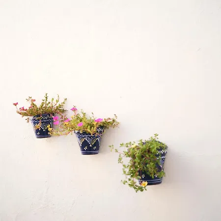 Сasa de vacaciones La Casita De Helen Ronda